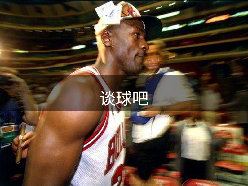网站概况